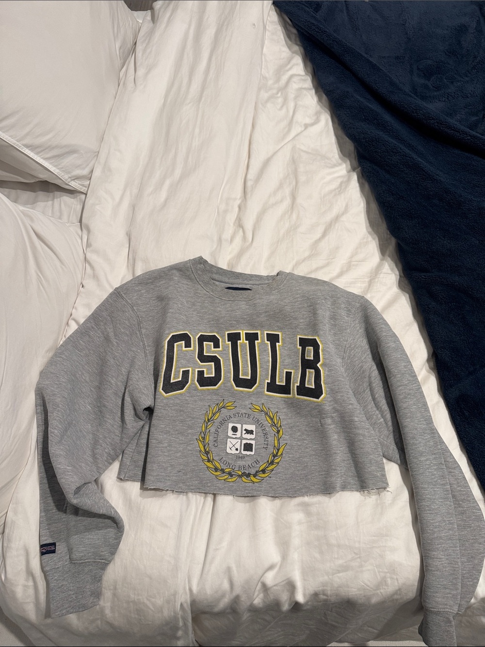 CSULB Gray Cropped Crewneck Sweatshirt - Women's Sweater